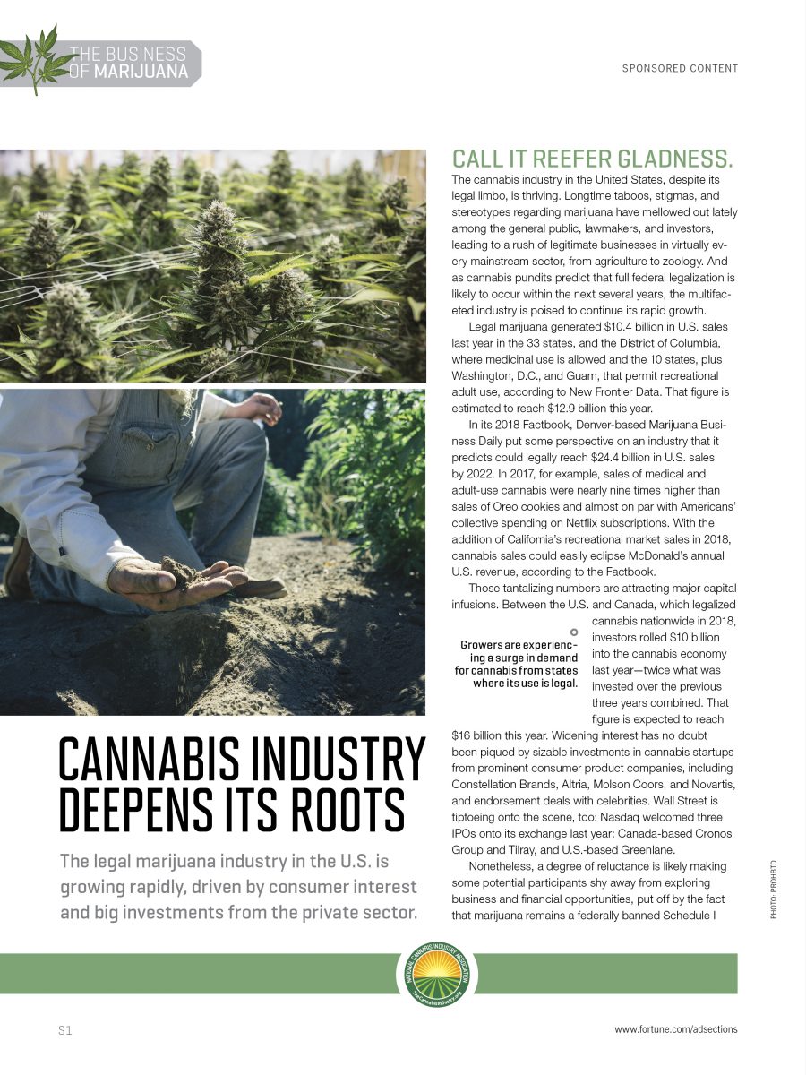Cannabis Industry Deepens Its Roots