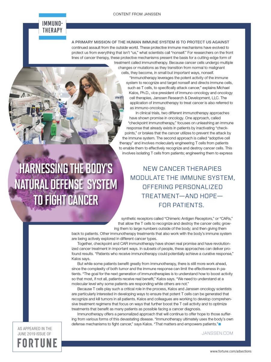 Harnessing the Body’s Natural Defense System to Fight Cancer
